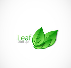 Green leaves background