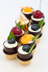 Fancy Chocolate Dessert