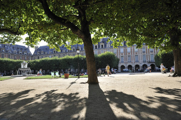 vosges square