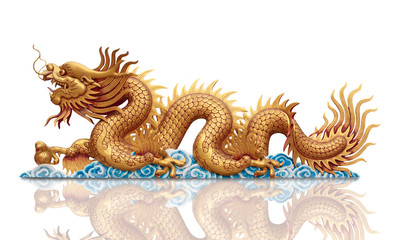 golden Dragon on white background