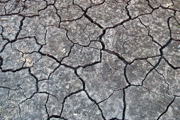 Cracked ground