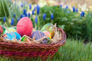 Easter eggs hunt