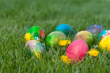 Easter eggs hunt