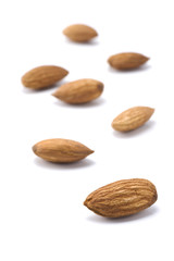 白背景に複数のアーモンド