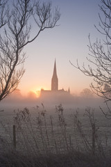 Salisbury cathedral on a misty morning