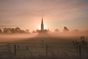 Salisbury cathedral on a misty morning - obrazy, fototapety, plakaty