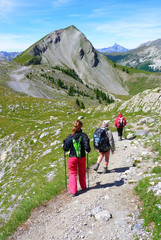 trekking in the alps