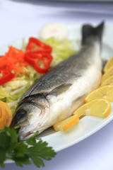 fish background