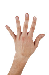 Human hand make a number five on isolated background