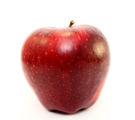 Juicy red apple on white background