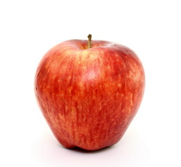 Juicy red apple on white background