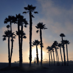 Sunset and palm trees, Santa Monica beach, Los Angeles, USA - 38126941