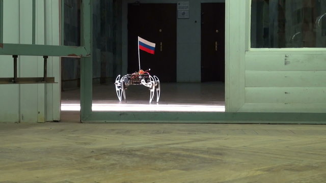 Spider robot