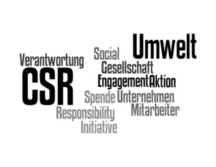 CSR - s/w