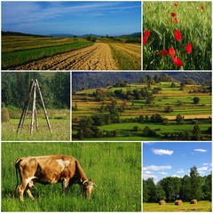 Rural landscape, collage