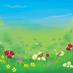 Landscape with meadow, grass, flowers, cloudy sky