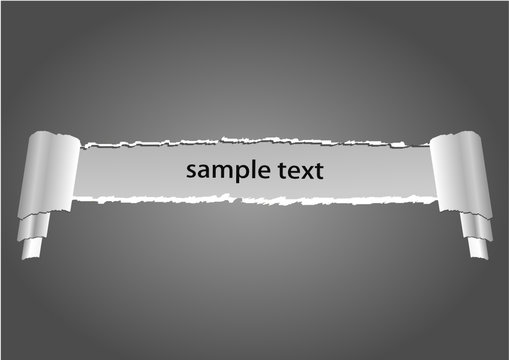 Vector design blank