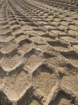 Tracks in the sand, huellas en la arena.