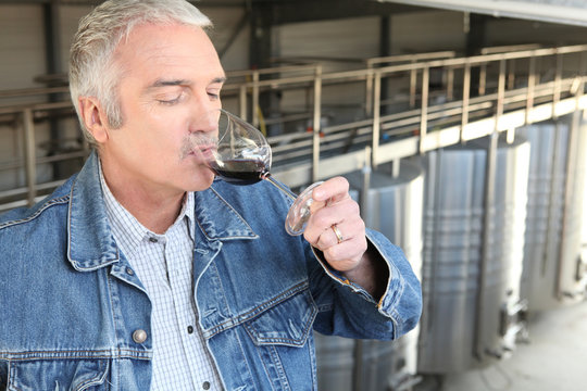 Man tasting industrial wine