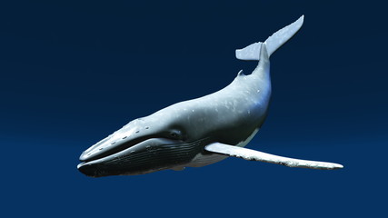 クジラ © tsuneomp