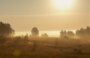 summer morning