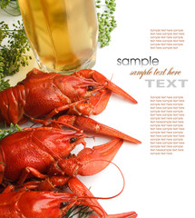 Boiled crayfish with dill