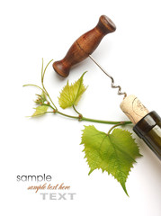 corkscrew and cork