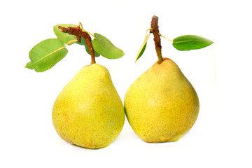 Pear