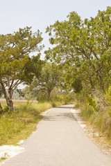 Fototapeta na wymiar Walking Path Through Wetland Marsh
