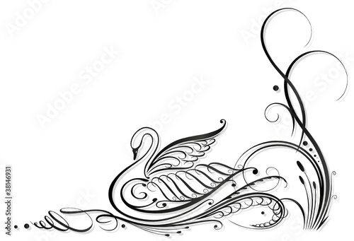 Drawing Lines For Calligraphy : Quot kalligraphie schwan schilf ranke black art stockfotos