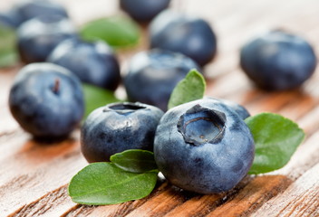 Blueberries with leaves
