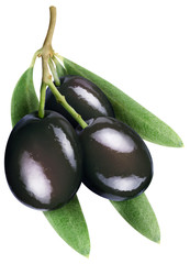 Olives with leaves on a white