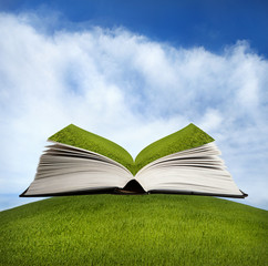 Open book with green grass