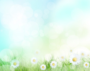 Fototapeta na wymiar Beautiful spring background