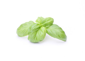 delicious fresh basil