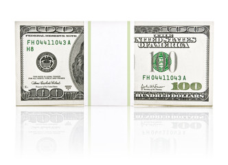 dollar money in the paper type pack isolated on white background