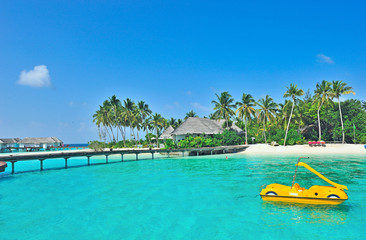 Maldives island - 38155567