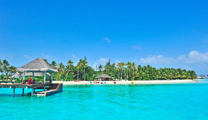 Maldives island - 38155575