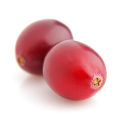 Cranberry in closeup