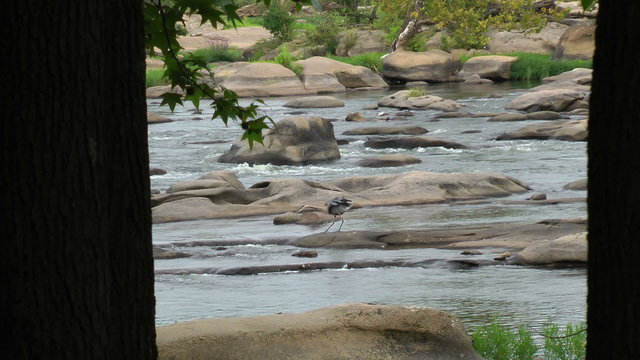 Peaceful river scene