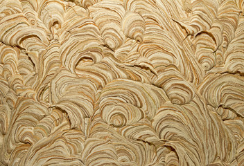 Close up image of wasp nest - obrazy, fototapety, plakaty
