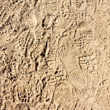 Traces de pas