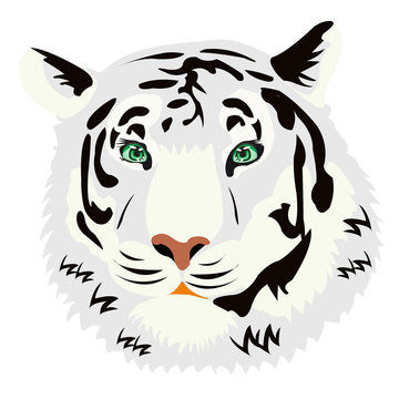 Portrait of the tiger on white background