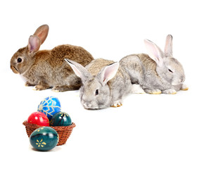 easter rabbits