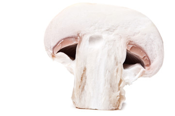 Naklejka premium fresh mushroom