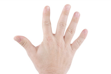 Obraz na płótnie Canvas main ouverte avec les cinq doigts sur fond blanc