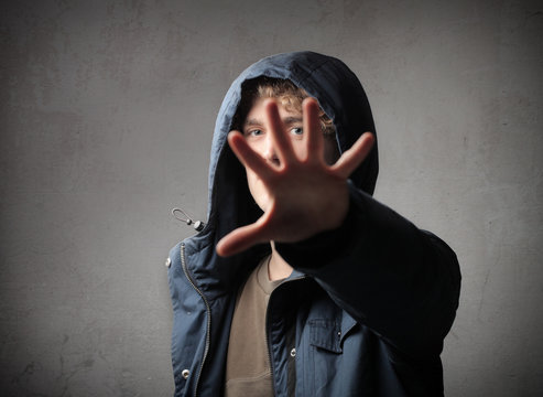 Hide