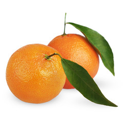 Ripe tangerines with leaves on white