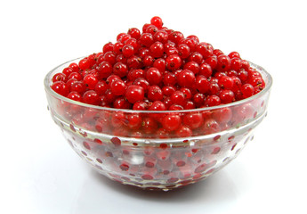 Isolated red currant