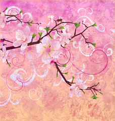 peach pink colors blooming cherry tree grunge background